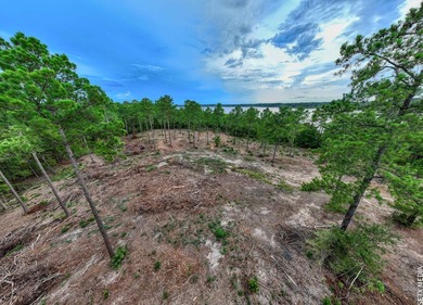 +/-20 acres on Lake Sam Rayburn! Rare opportunity to own - photo 14
