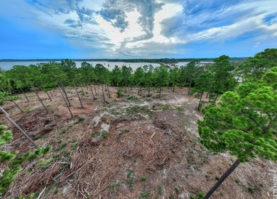+/-20 acres on Lake Sam Rayburn! Rare opportunity to own - photo 16