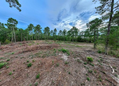+/-20 acres on Lake Sam Rayburn! Rare opportunity to own - photo 17