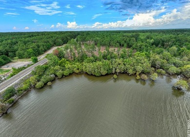 +/-20 acres on Lake Sam Rayburn! Rare opportunity to own - photo 19