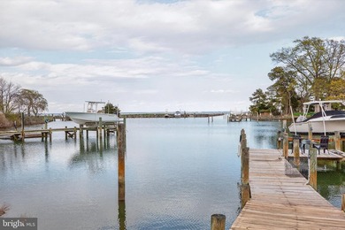 Welcome to the pinnacle of waterfront living in Cove Creek - photo 50