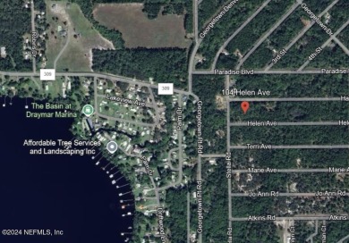 Lake Lot For Sale in Georgetown, Florida