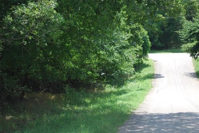 Lake Whitney Lot For Sale in Whitney Texas