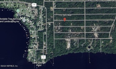 Lake Lot For Sale in Georgetown, Florida