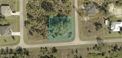 Lehigh Acres Area Lot For Sale in Lehigh Acres Florida