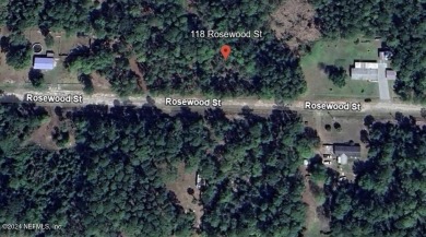 Lake Lot For Sale in Georgetown, Florida