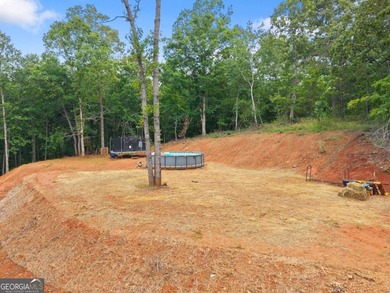 Welcome to your North Georgia retreat! Nestled on 1.49 private - photo 30