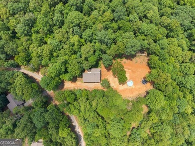 Welcome to your North Georgia retreat! Nestled on 1.49 private - photo 33