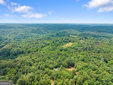 Welcome to your North Georgia retreat! Nestled on 1.49 private - photo 34