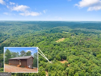 Welcome to your North Georgia retreat! Nestled on 1.49 private - photo 35