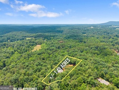 Welcome to your North Georgia retreat! Nestled on 1.49 private - photo 36