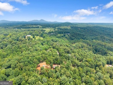 Welcome to your North Georgia retreat! Nestled on 1.49 private - photo 37
