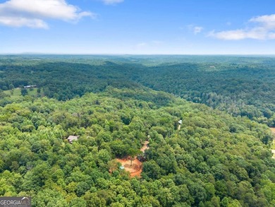 Welcome to your North Georgia retreat! Nestled on 1.49 private - photo 38