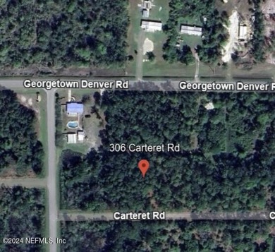 Lake Lot For Sale in Georgetown, Florida