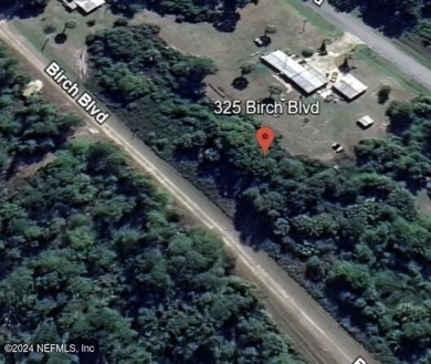 Lake Lot For Sale in Georgetown, Florida