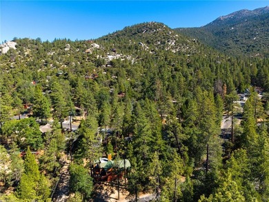 Experience the authentic soul of Idyllwild in this beautifully - photo 9