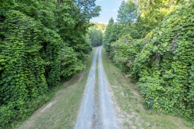 Smith Lake (Pigeon Roost Creek) An unbelievable opportunity to - photo 3