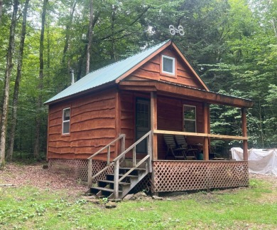 (private lake, pond, creek) Home For Sale in Camden New York