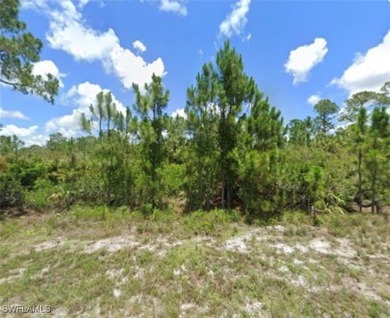 Lehigh Acres Area Lot For Sale in Lehigh Acres Florida