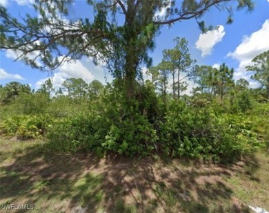 Lehigh Acres Area Lot For Sale in Lehigh Acres Florida