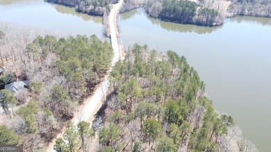 Lake Acreage For Sale in Hampton, Georgia