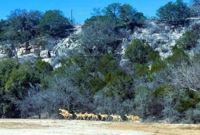 Lake Acreage For Sale in Junction, Texas