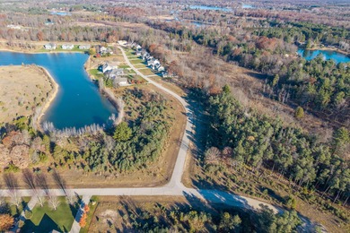 Kilkenny Lake  Lot For Sale in Stanwood Michigan