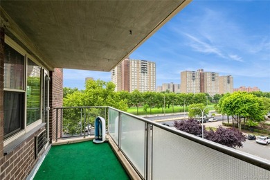 Spacious three-bedroom one-and-a-half-bathroom condominium - photo 22