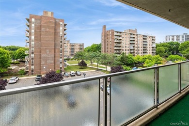 Spacious three-bedroom one-and-a-half-bathroom condominium - photo 23