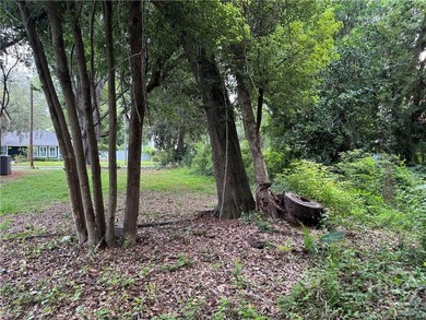 An incredibly rare opportunity to build a new home in the heart - photo 5