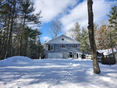 Bass Lake - Mason County Home For Sale in Pentwater Michigan