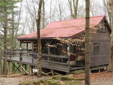 Lake Home For Sale in Carrollton, Ohio