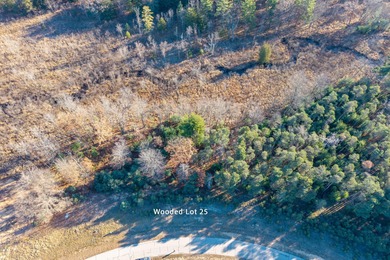 Kilkenny Lake  Lot For Sale in Stanwood Michigan