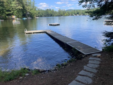 Lake Rescue Lot For Sale in Ludlow Vermont