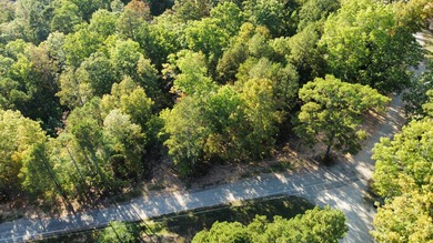 Current River Lot For Sale in Van Buren Missouri