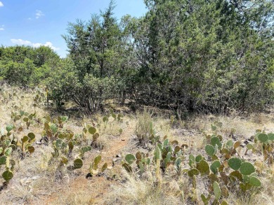 Lake Lot Off Market in Burnet, Texas