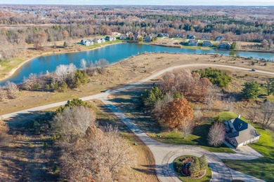 Hamlet Lake Lot For Sale in Stanwood Michigan