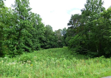 Lake Acreage Off Market in New Market, Tennessee