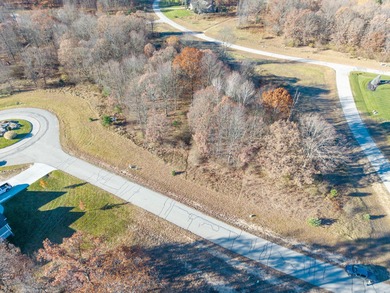 Hamlet Lake Lot For Sale in Stanwood Michigan