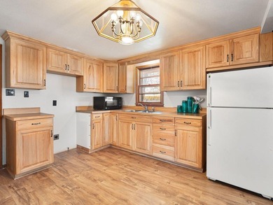 Cute cabin on level lake lot on the north shore of Lake Tetonka! - photo 11