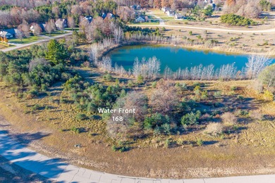 Lake Lot For Sale in Stanwood, Michigan
