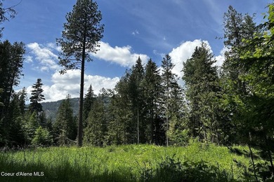 This rare 7.79 acre in-city parcel offers year-round Little Sand - photo 8