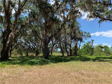 Lake Arrowtree Lot For Sale in Groveland Florida