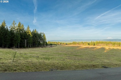 Silver Lake - Cowlitz County Lot For Sale in Castlerock Washington