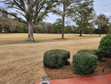 Stunning golf course home located in the highly sought-after The - photo 10