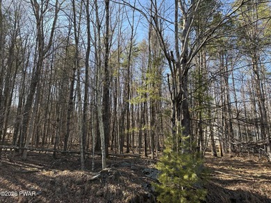 This very special wooded one acre parcel is flat and ready for - photo 1