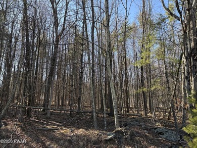 This very special wooded one acre parcel is flat and ready for - photo 2