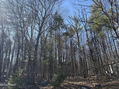 This very special wooded one acre parcel is flat and ready for - photo 3