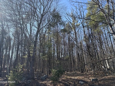 This very special wooded one acre parcel is flat and ready for - photo 4