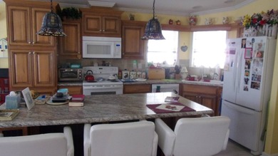 Like New 2017 Skyline Large Gorgeous Home, 1,568 sq. ft., open - photo 7